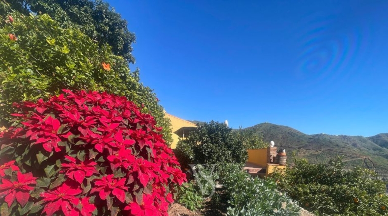 Granada - Almuñécar - 13800m2