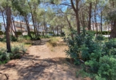 Land suitable for development for sale in Mont-roig del Camp ref: TR109927 photo