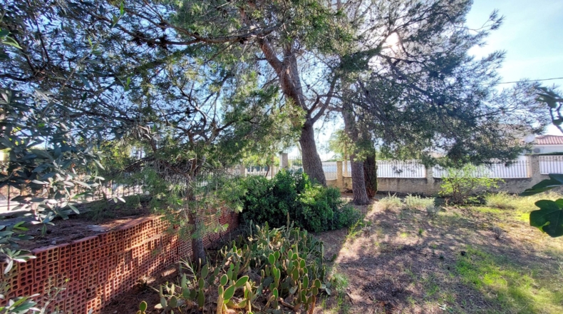 Tarragona - Mont-roig del Camp - 550m2