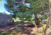 Sòl urbà en venda a Mont-roig del Camp ref.: TR182849 foto