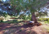 Sòl urbà en venda a Mont-roig del Camp ref.: TR182849 foto