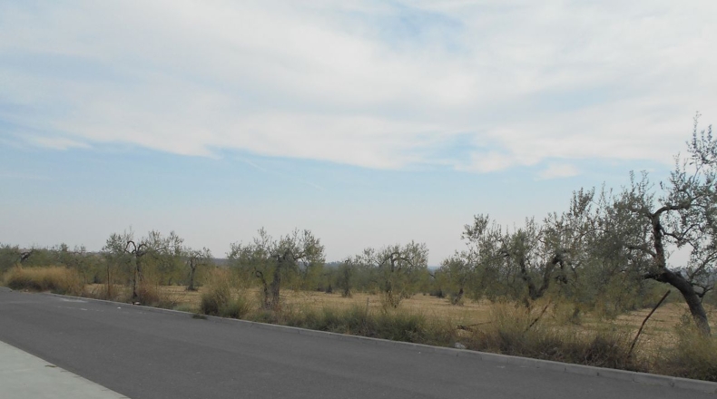 Sevilla - Salteras - 18170m2
