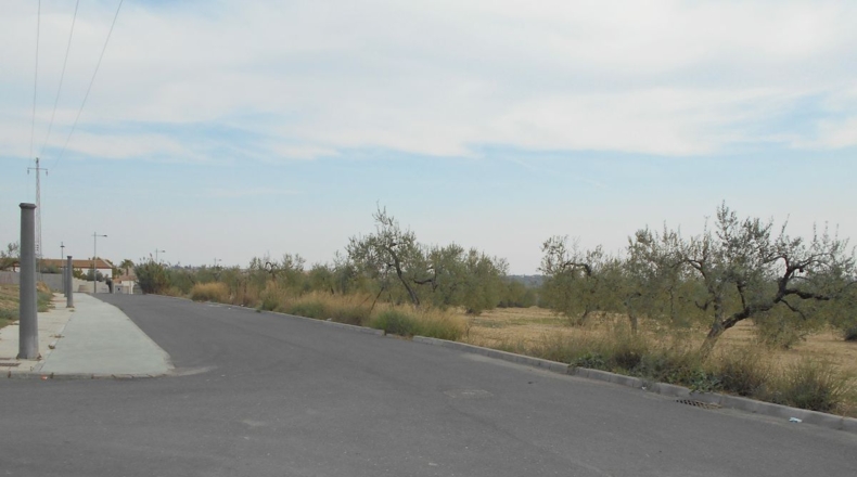 Sevilla - Salteras - 18170m2