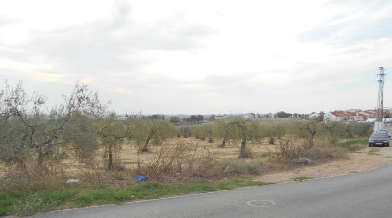 Sevilla - Salteras - 18170m2