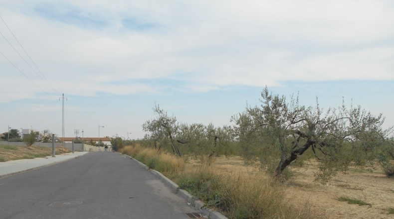 Sevilla - Salteras - 18170m2