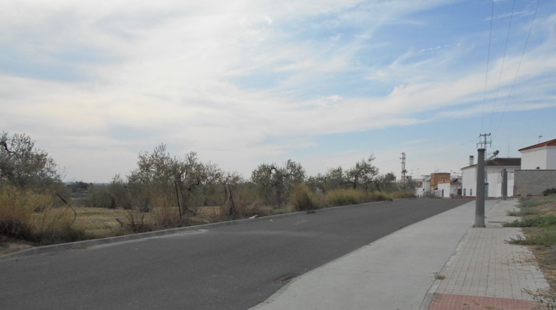 Sevilla - Salteras - 18170m2