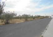 Parcel·la urbanitzable en venda a la España, Salteras, ref.: TR109625 foto