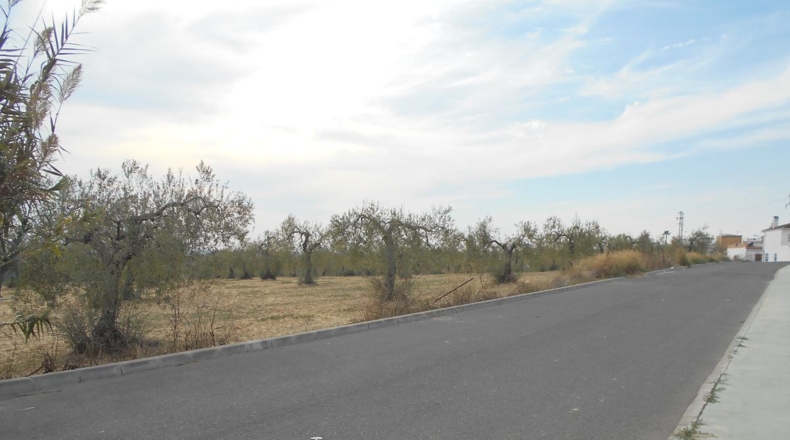 Sevilla - Salteras - 18170m2