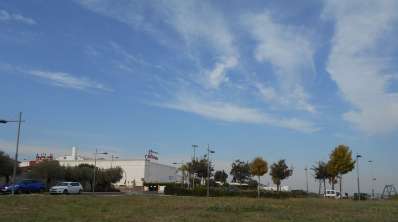 Sevilla - Salteras - 18170m2