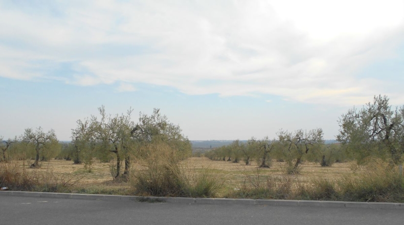 Sevilla - Salteras - 18170m2