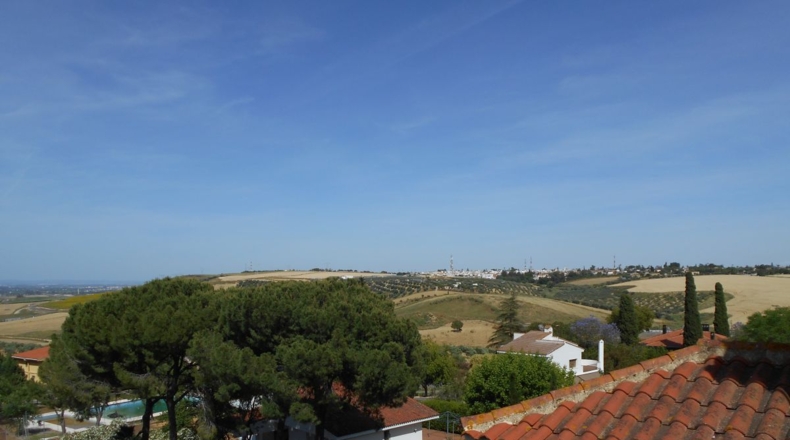 Seville - Salteras - 394m2