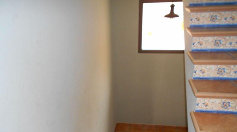 Sevilla - Morón de la Frontera - 650m2