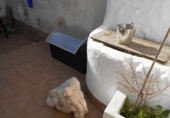 Casa de pueblo en venta en Ayamonte ref: TR204351 foto