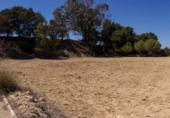 Finca rústica en venda a la España, Guardamar del Segura, ref.: TR108489 foto