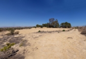 Finca rústica en venda a la España, Guardamar del Segura, ref.: TR108489 foto