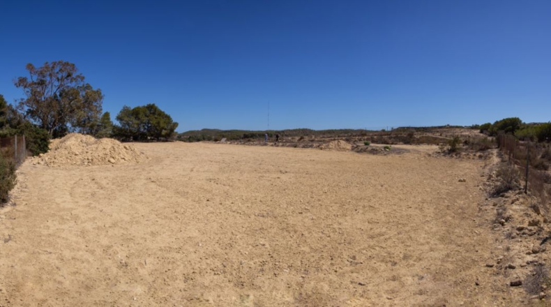 Alicante - Guardamar del Segura - 12459m2