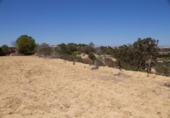 Finca rústica en venda a la España, Guardamar del Segura, ref.: TR108489 foto