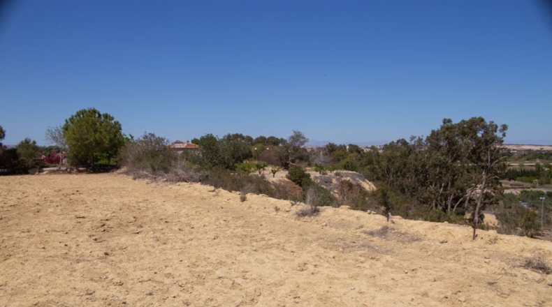 Alicante - Guardamar del Segura - 12459m2