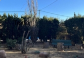 Finca rústica en venda a la España, Busot, ref.: TR185156 foto
