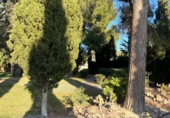 Finca rústica en venda a la España, Busot, ref.: TR185156 foto
