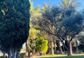 Finca rústica en venda a la España, Busot, ref.: TR185156 foto