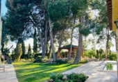 Finca rústica en venda a la España, Busot, ref.: TR185156 foto