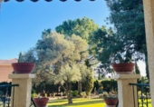 Finca rústica en venda a la España, Busot, ref.: TR185156 foto