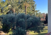 Finca rústica en venda a la España, Busot, ref.: TR185156 foto