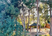 Finca rústica en venda a la España, Busot, ref.: TR185156 foto