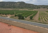 Finca rústica en venta en Monóvar ref: TR235336 foto