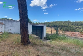 Baños de la Encina 332&nbsp;m² 
