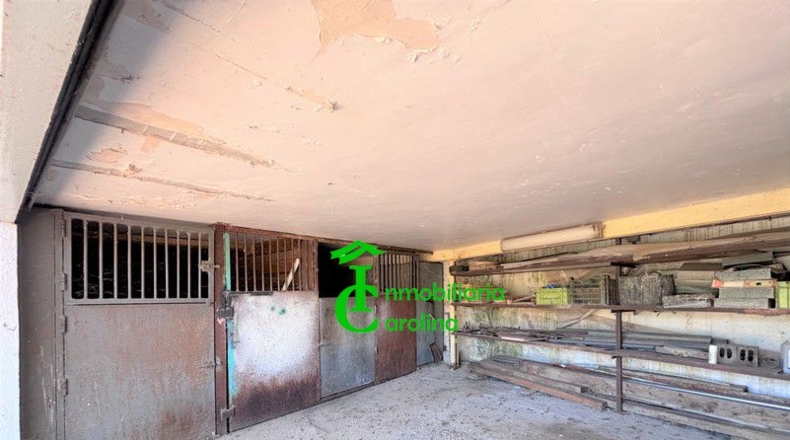 Jaén - Santa Elena - 8280m2