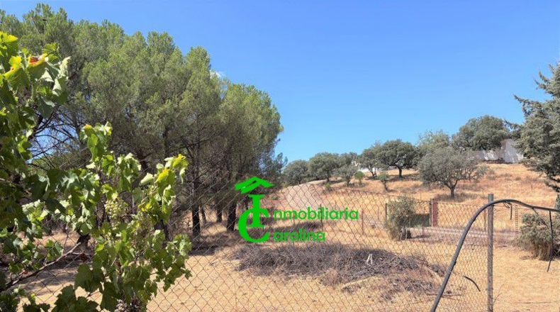 Jaén - Santa Elena - 8280m2