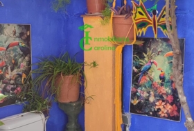 Foto 18