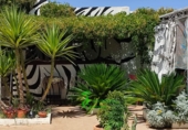 Casa de pueblo en venta en Santa Elena ref: TR352801 foto