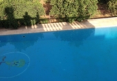 Xalet independent amb terreny en venda a Alcalá de Guadaíra ref.: TR204346 foto