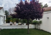 Xalet independent amb terreny en venda a Camas ref.: TR235443 foto
