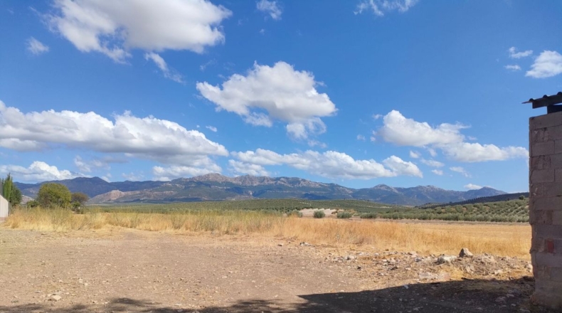 Jaen - Peal de Becerro - 1149m2