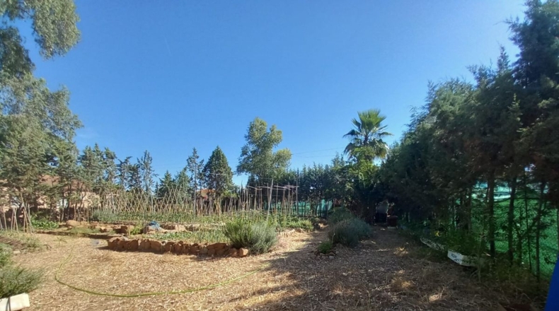 Jaen - Linares - 1034m2