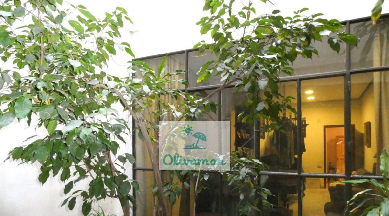 Valencia - Oliva - 576m2