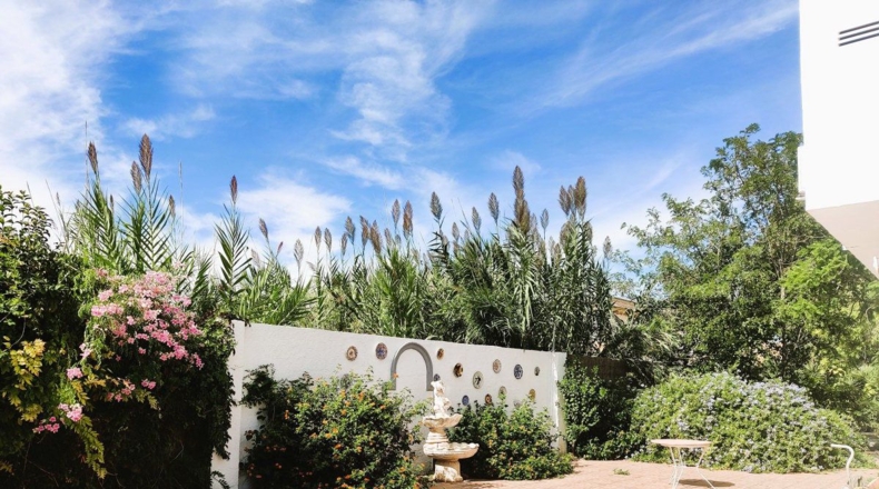 Valencia - Oliva - 7000m2