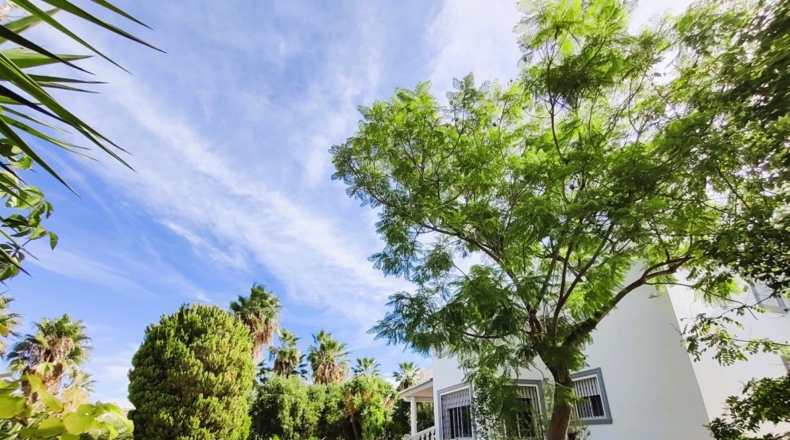 Valencia - Oliva - 7000m2