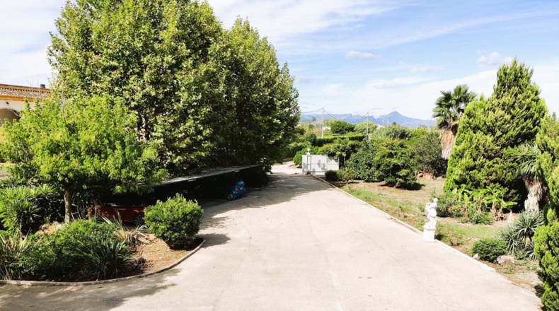Valencia - Oliva - 7000m2