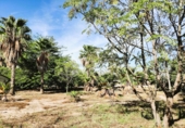 Chalet independiente con terreno en venta en Oliva ref: TR185755 foto