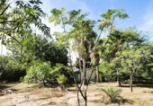 Chalet independiente con terreno en venta en Oliva ref: TR185755 foto