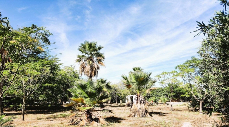 Valencia - Oliva - 7000m2