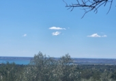 Rural estate for sale in l'Ampolla ref: TR190645 photo