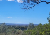 Rural estate for sale in l'Ampolla ref: TR190645 photo