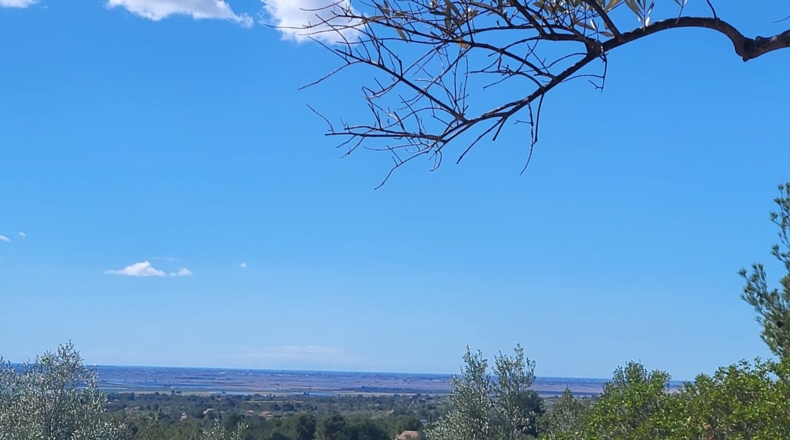 Tarragona - l'Ampolla - 45000m2