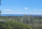 Rural estate for sale in l'Ampolla ref: TR190645 photo